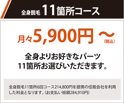 全身脱毛11箇所コース 月々5,900円～