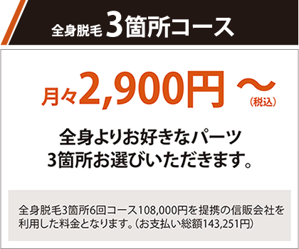 全身脱毛3箇所コース 月々2,900円～