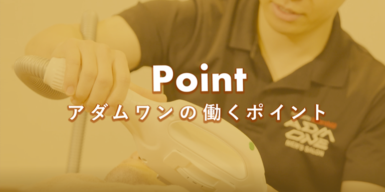 アダムワンで働くポイント