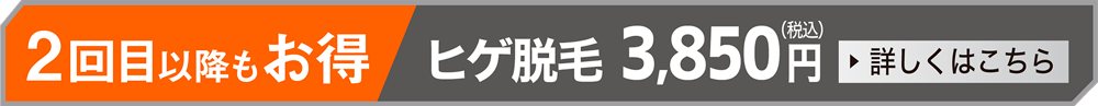 ヒゲ脱毛2回目以降、月額3,850円