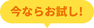 今ならお試し！