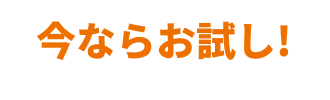 今ならお試し！