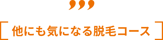 他にも気になる脱毛コース
