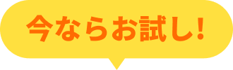 今ならお試し！