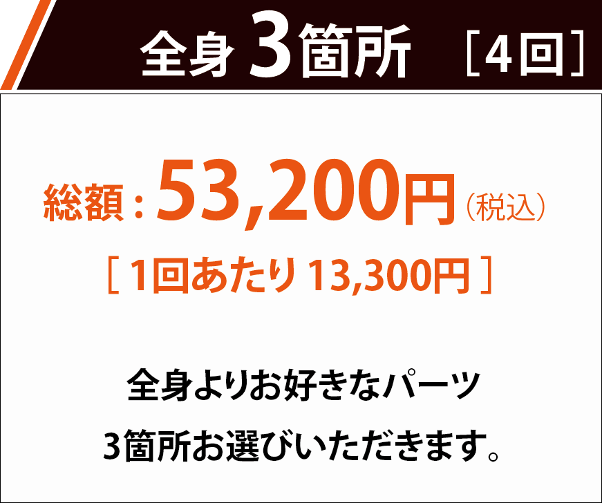 全身脱毛3箇所 1回あたり8,008円