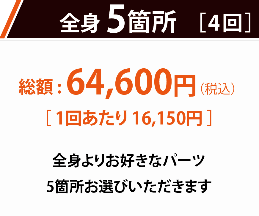 全身脱毛5箇所 1回あたり10,010円