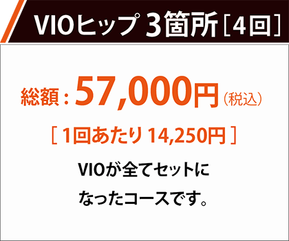 VIOセット 1回あたり8,008円