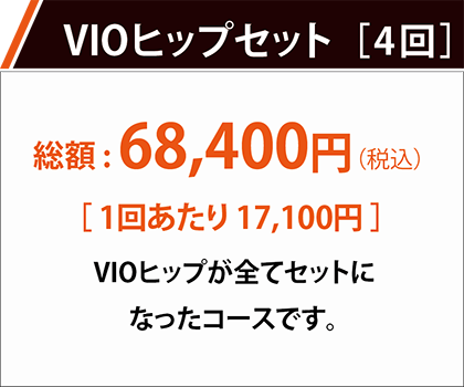 VIOヒップセット 1回あたり10,010円